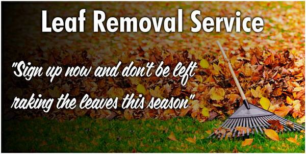 Photo of Woody Lawn Care