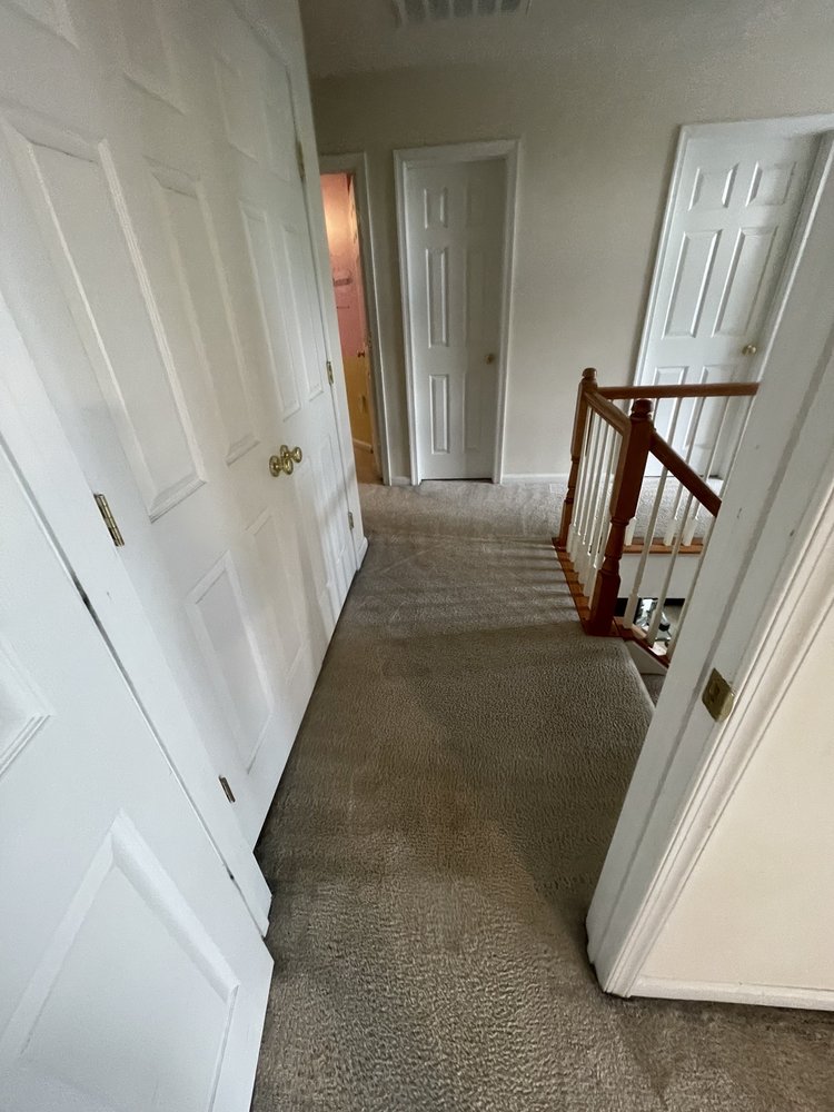 Photo of OEO Carpet Cleaning