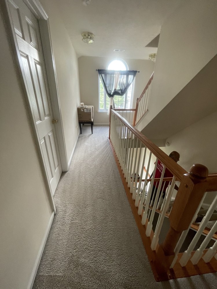Photo of OEO Carpet Cleaning
