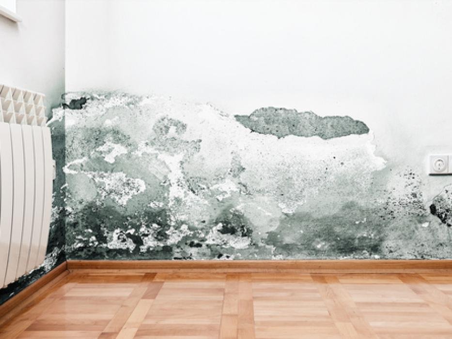 Photo of Aqua Dry Basement Waterproofing