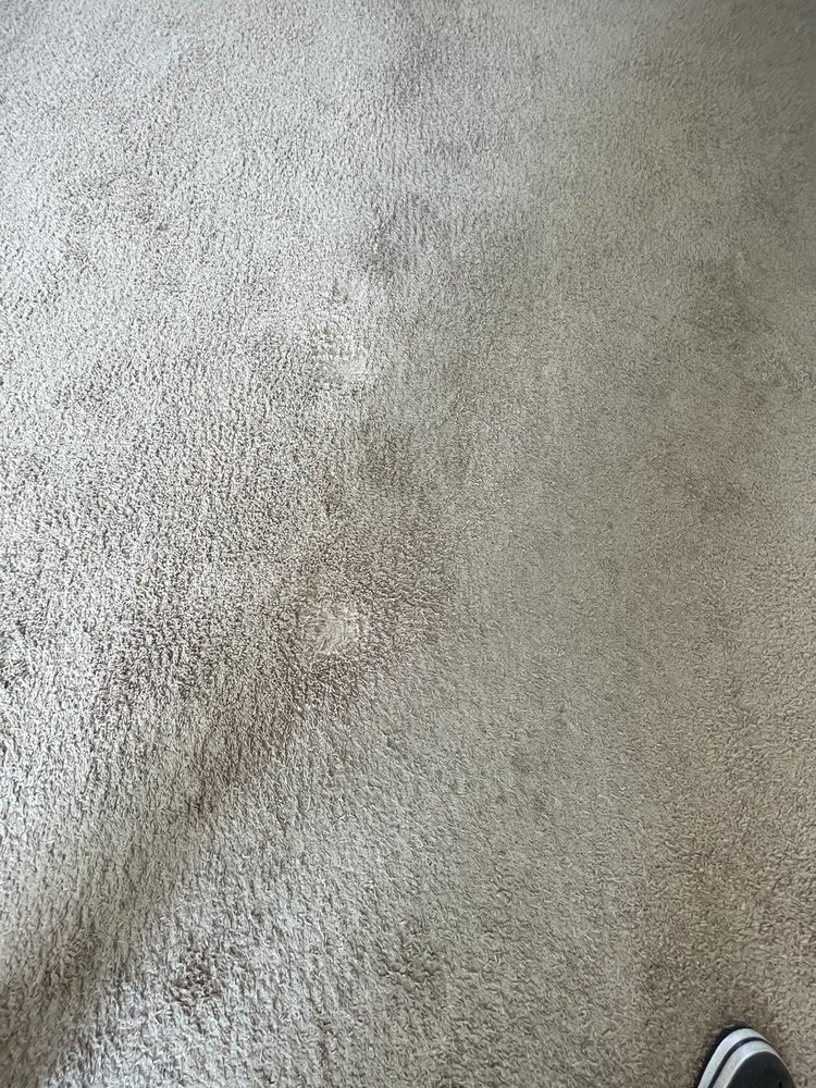 Photo of Classic Carpet & Tile Cleaning