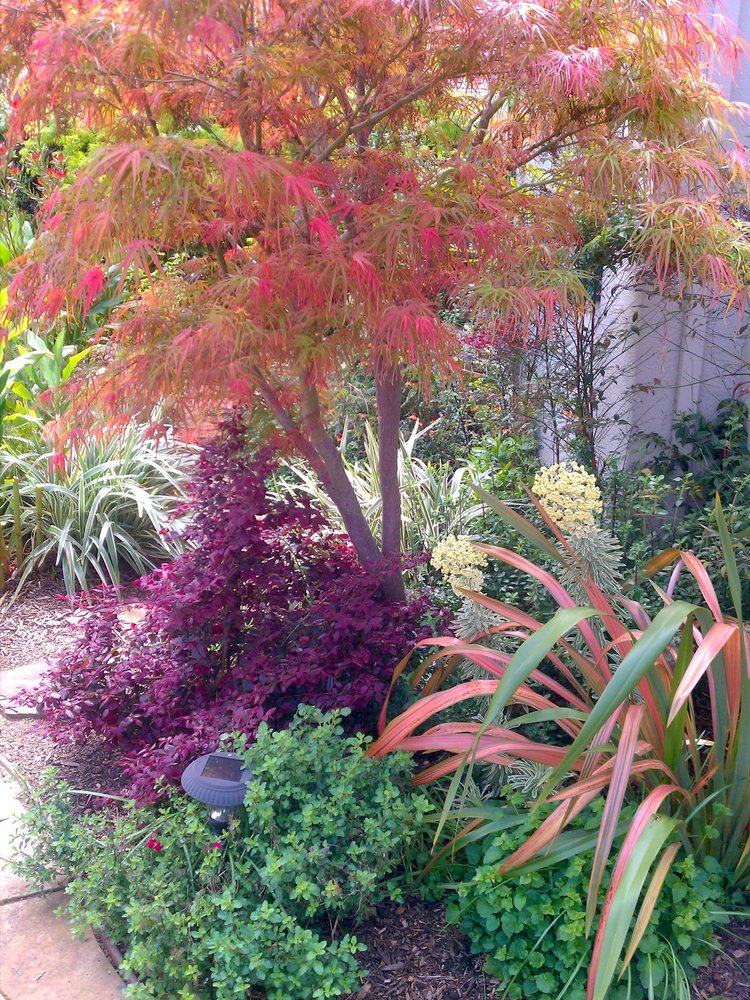 Photo of The Avant Gardener
