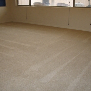 Photo of Bradley Carpet Cleaning