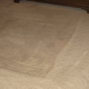 Photo of Bradley Carpet Cleaning