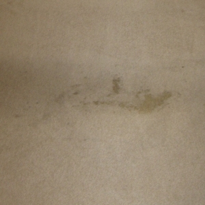 Photo of Bradley Carpet Cleaning