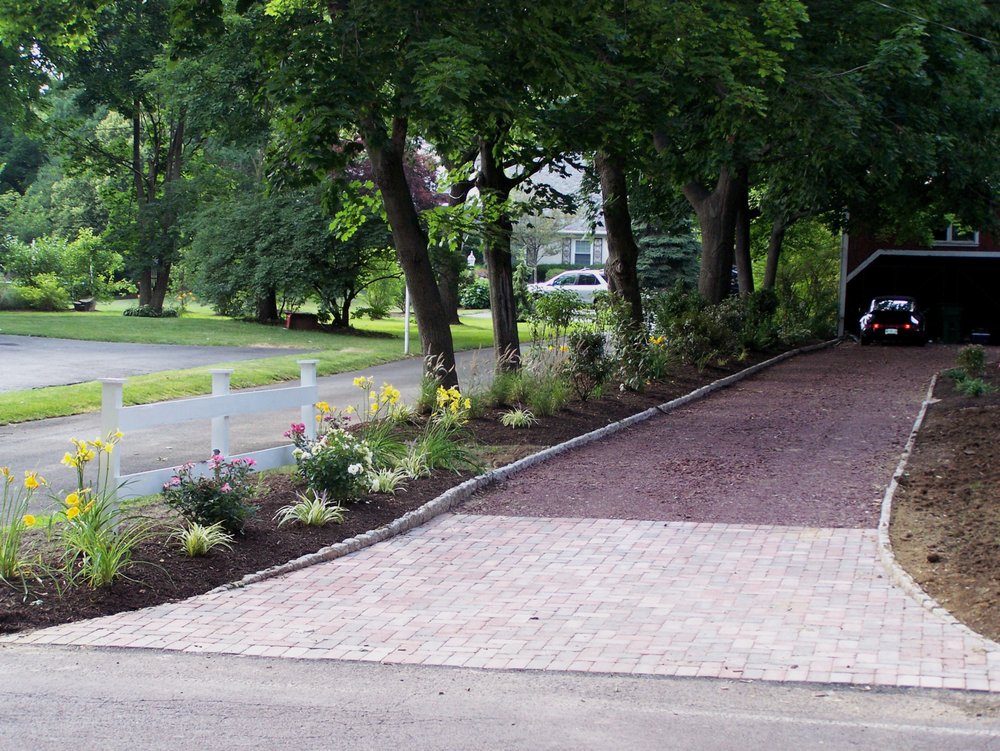 Photo of Goff Tree and Landscape