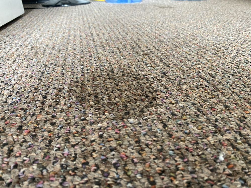 Photo of My Carpet Cleaning