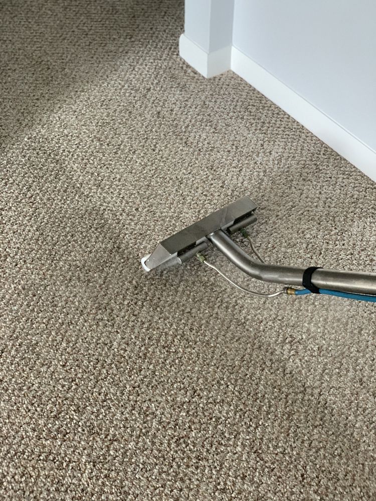 Photo of My Carpet Cleaning