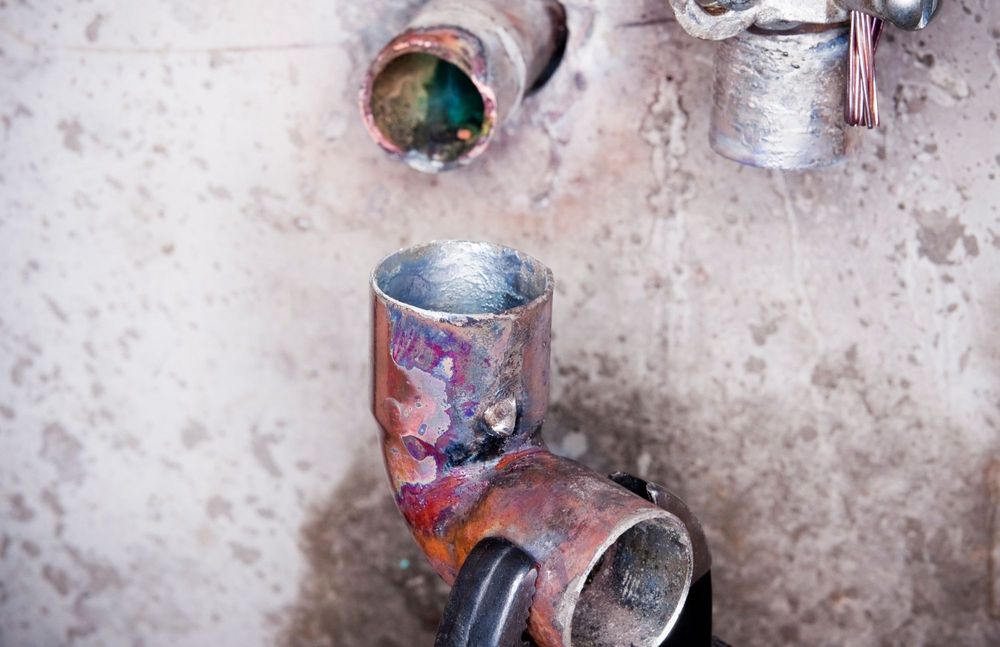 Photo of Garden Water Damage Experts