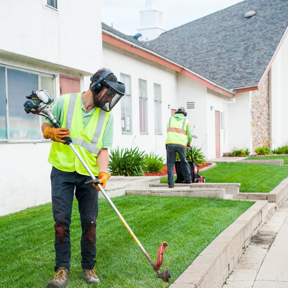 Photo of Cornerstone Landscape