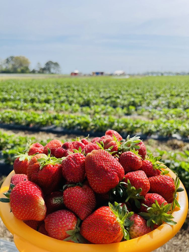 Photo of Hickory Ridge Farm