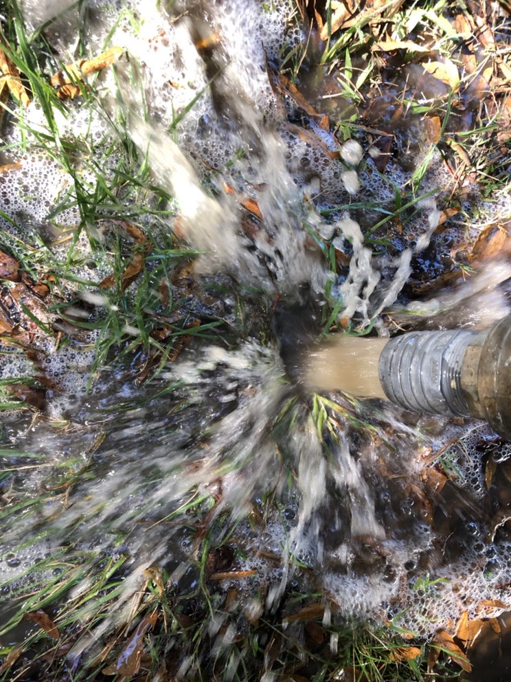 Photo of NC Mtn Fresh Carpet Care