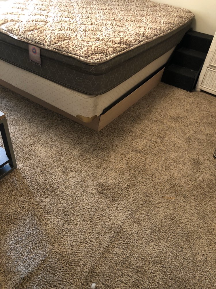 Photo of NC Mtn Fresh Carpet Care