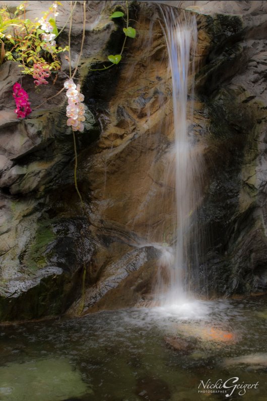 Photo of Nicki Geigert Photographer