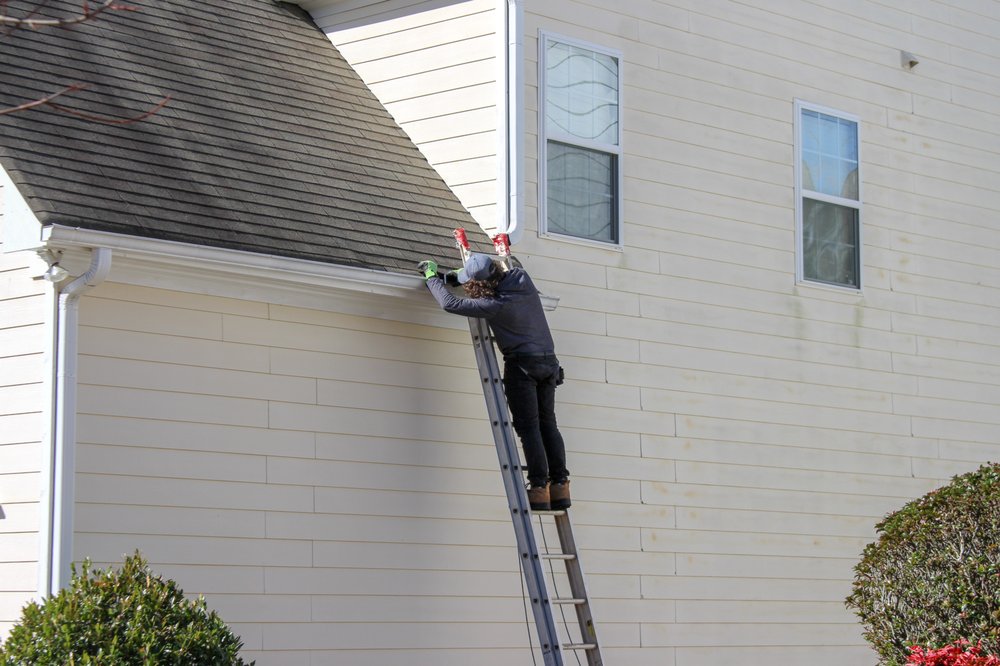 Photo of Shield Roof