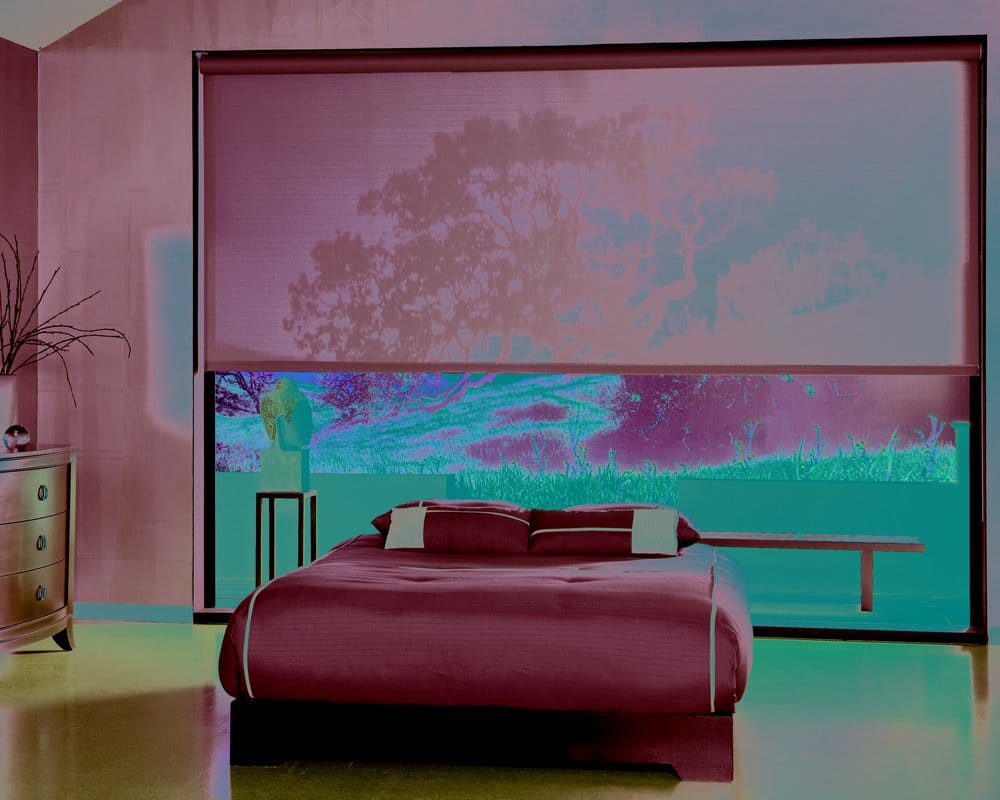 Photo of Window-ology