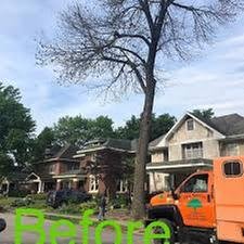Photo of Vasquez Tree Service