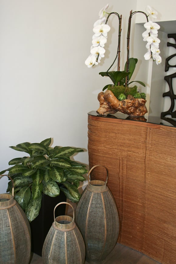 Photo of Greenleaf Interior Plant Solutions