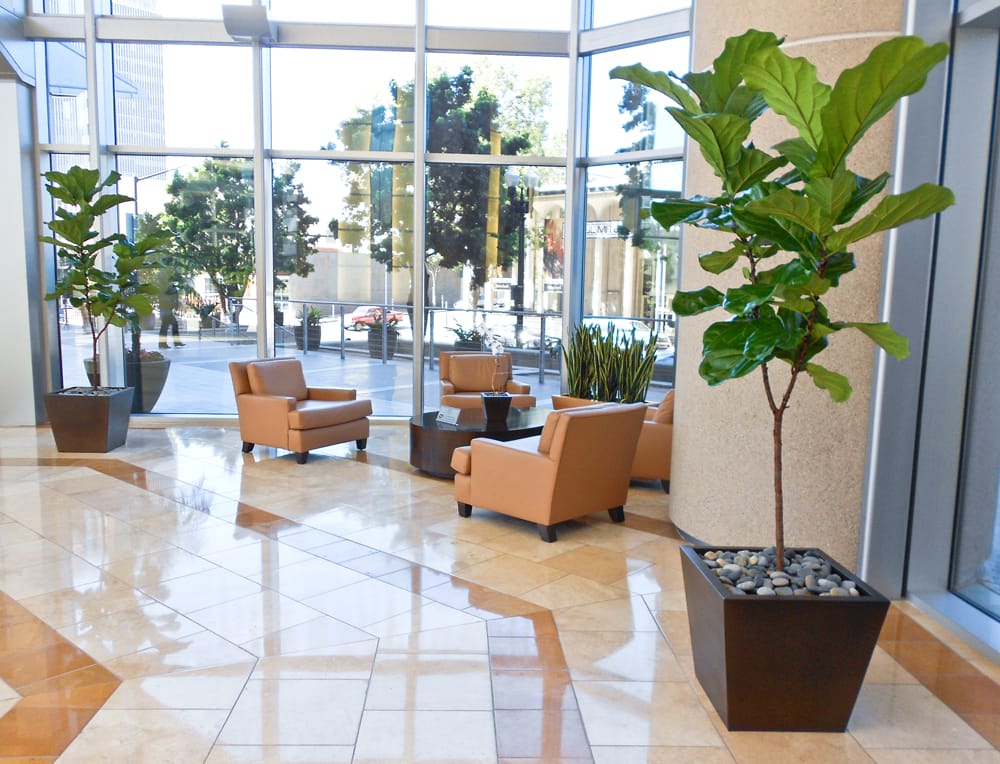 Photo of Greenleaf Interior Plant Solutions