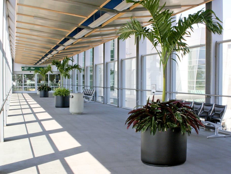 Photo of Greenleaf Interior Plant Solutions