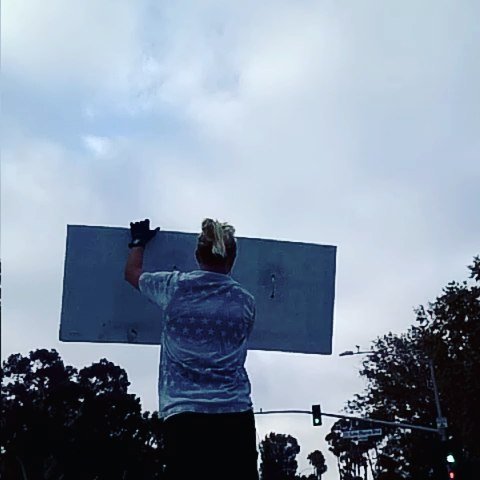 Photo of Lion Marketing