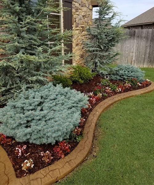 Photo of Special T Landscaping