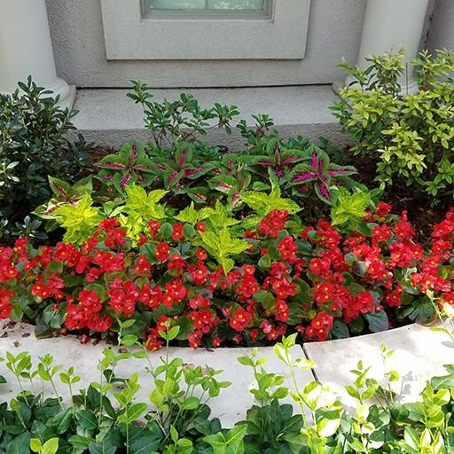 Photo of Special T Landscaping
