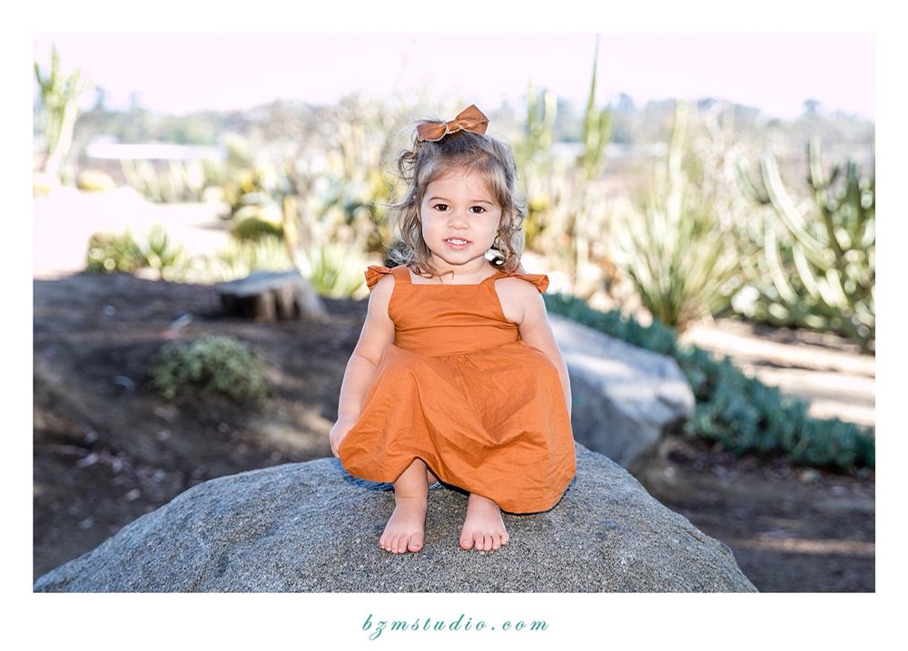 Photo of BZM STUDIO Photography