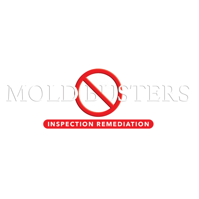 Photo of Mold Busters Inspection Remediation