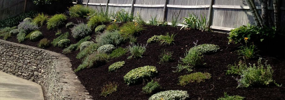 Photo of C McGue Landscape Design & Construction