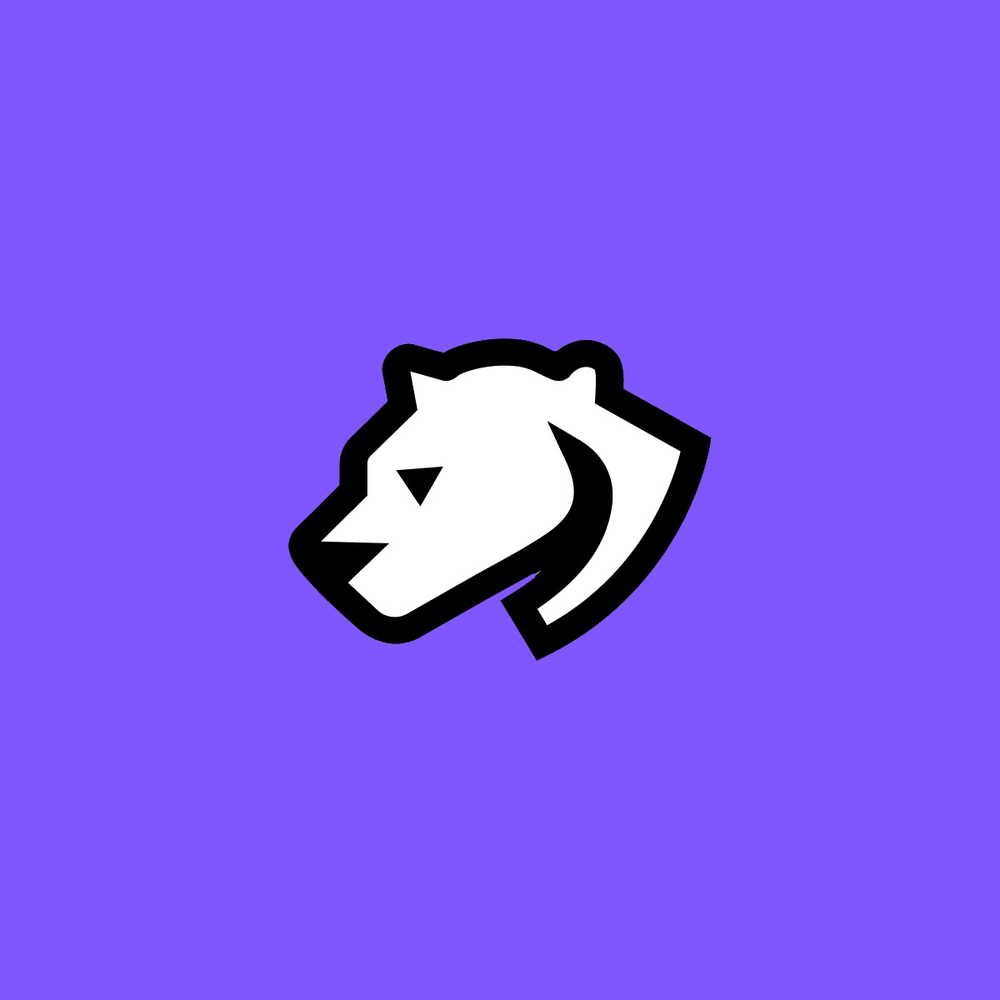 Photo of Cheetah Agency