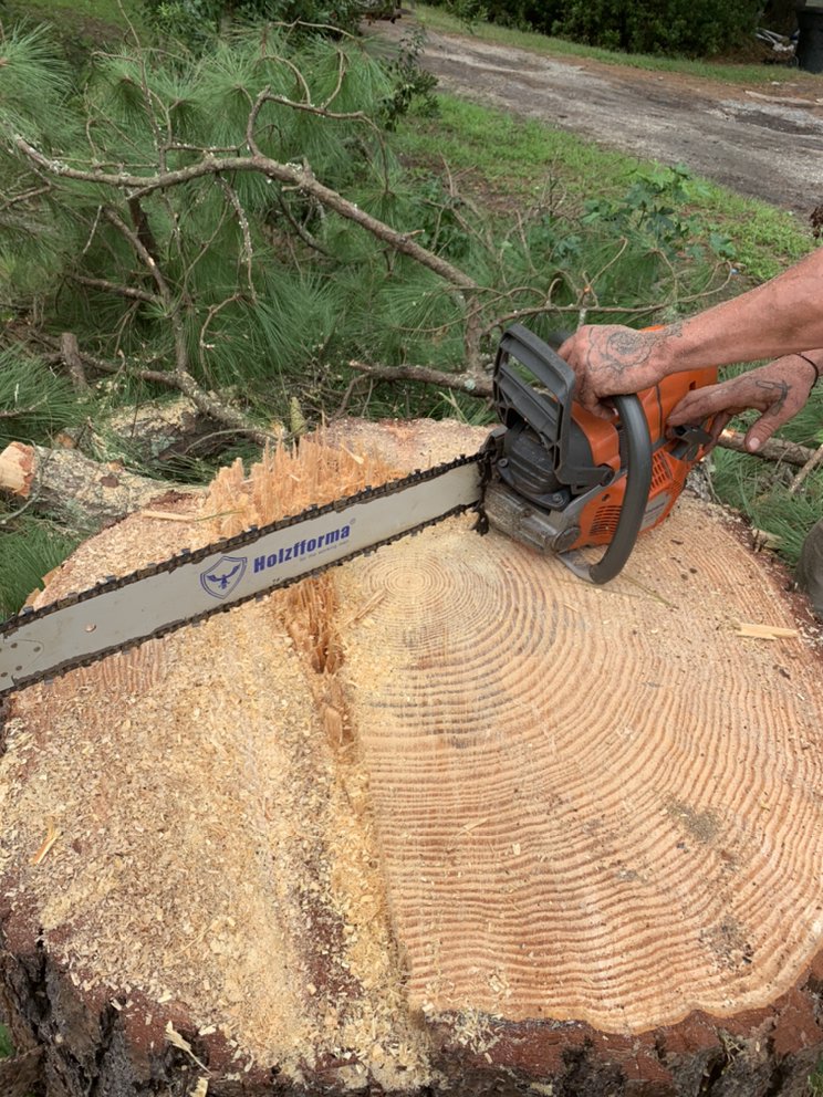 Photo of Top To Bottom Tree Service and Landscaping