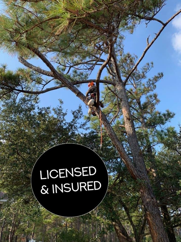 Photo of Top To Bottom Tree Service and Landscaping