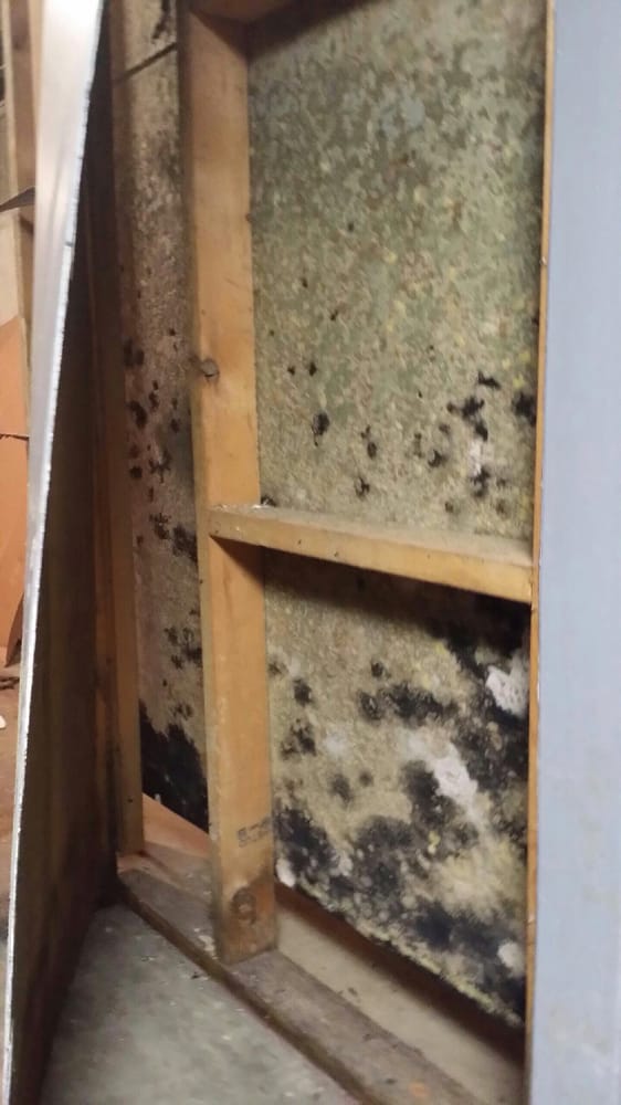 Photo of Absolute Water Restoration