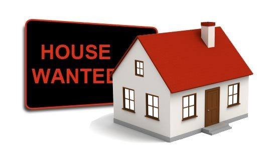 Photo of Laurel Buys Houses