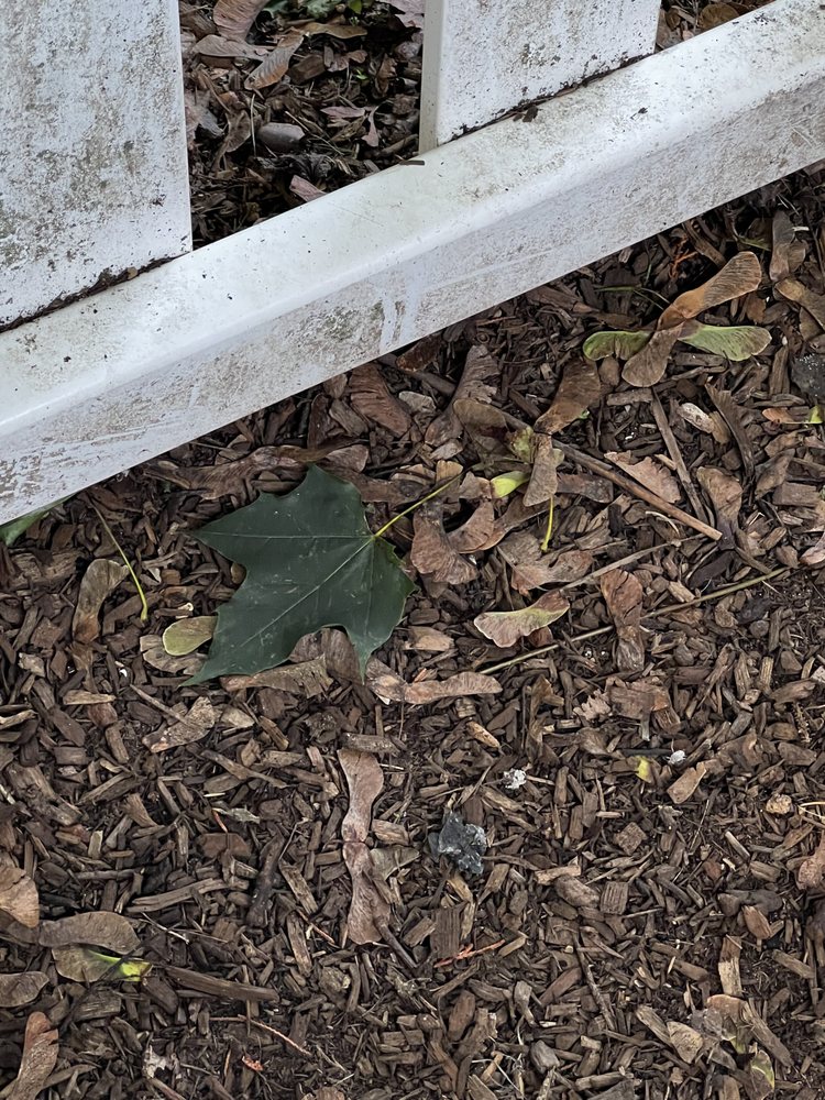 Photo of Jager Landscaping