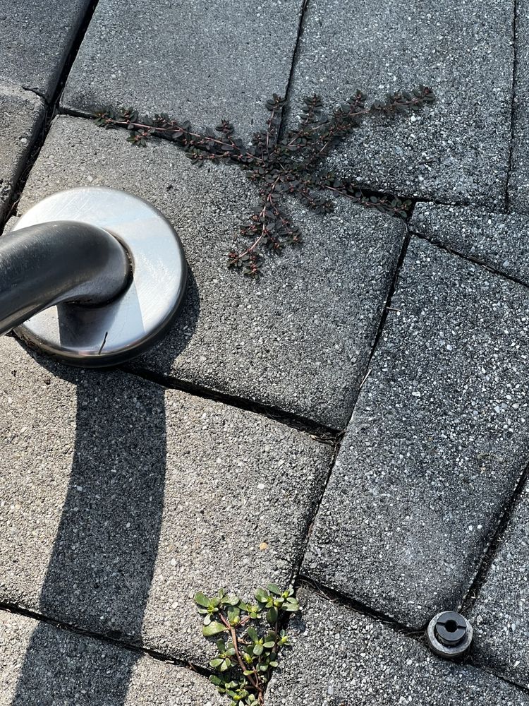 Photo of Jager Landscaping