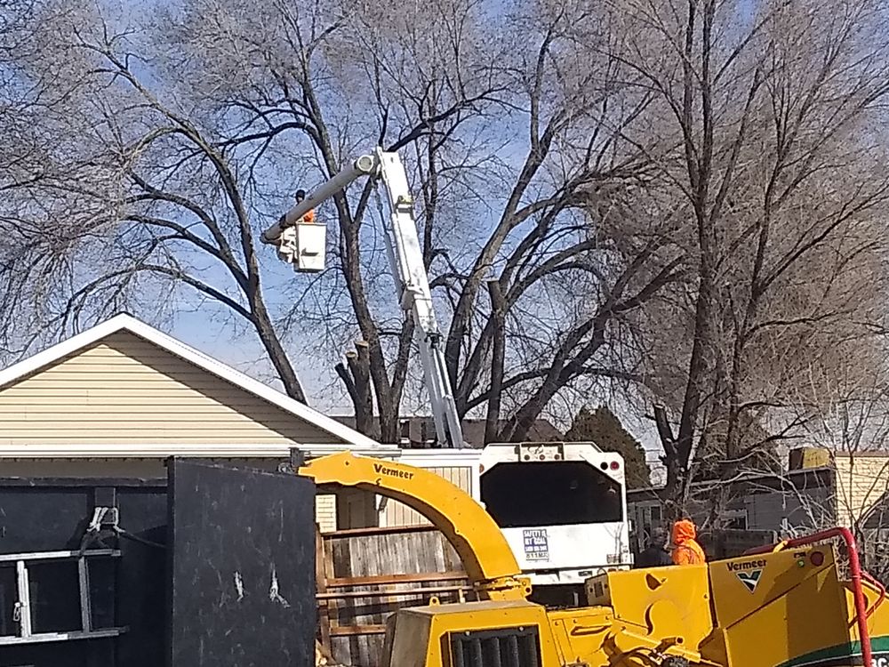 Photo of Supreme Tree Experts Utah