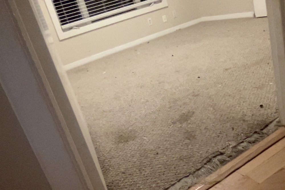 Photo of 1836 Property Management