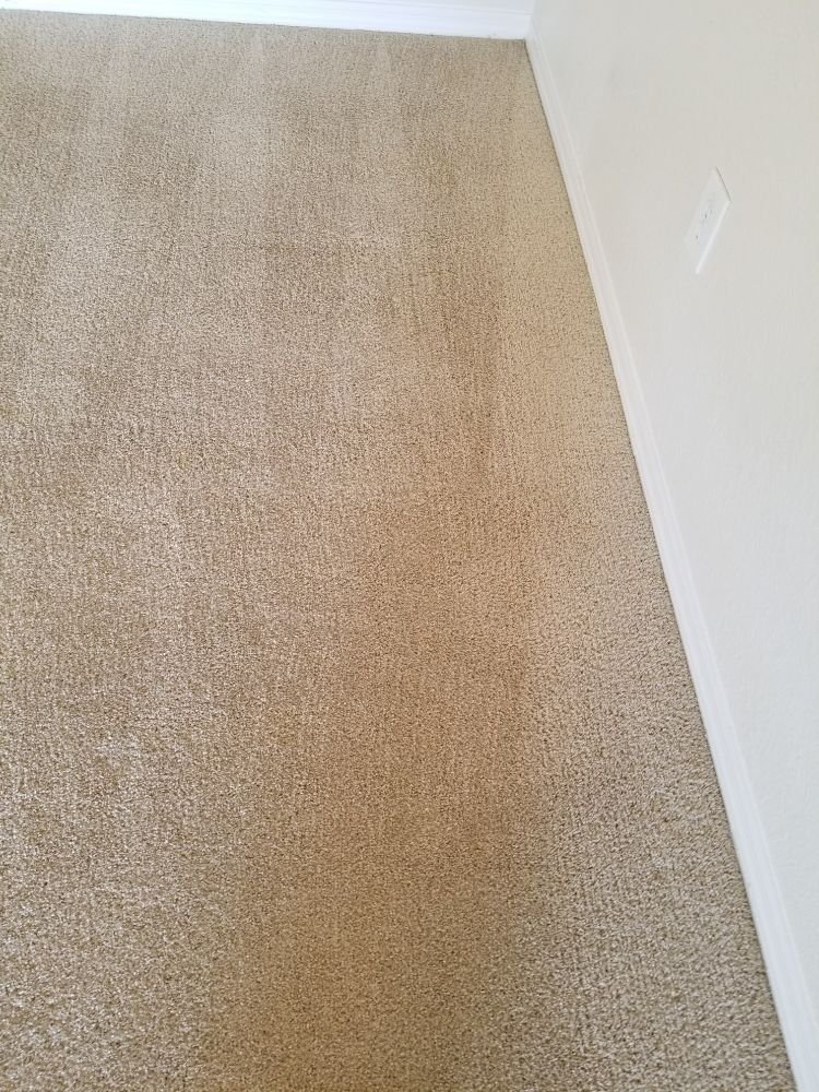 Photo of Advance Carpet Cleaning