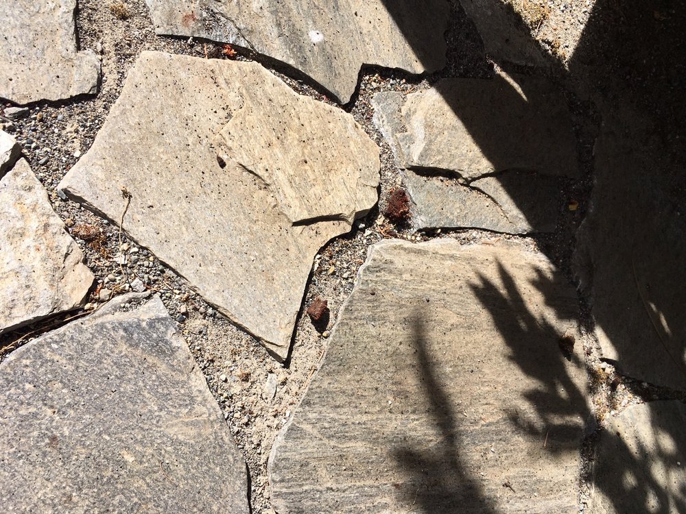 Photo of Gutter Girls
