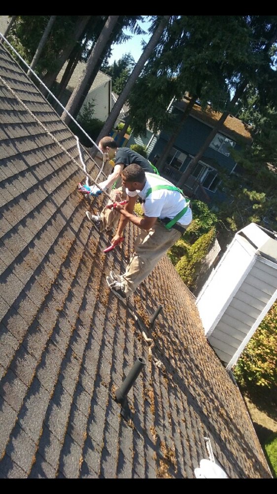 Photo of Gutter Girls