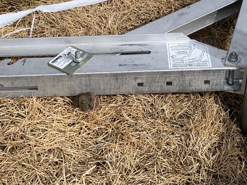 Photo of Welter Construction