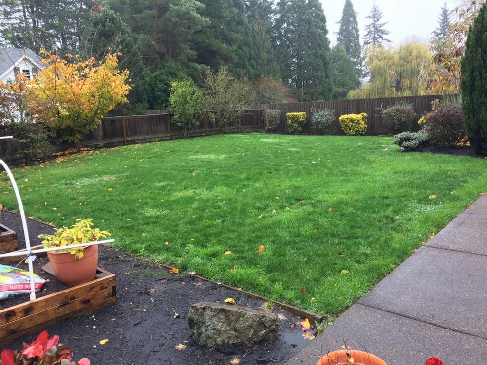 Photo of Clean Air Lawn Care of Portland