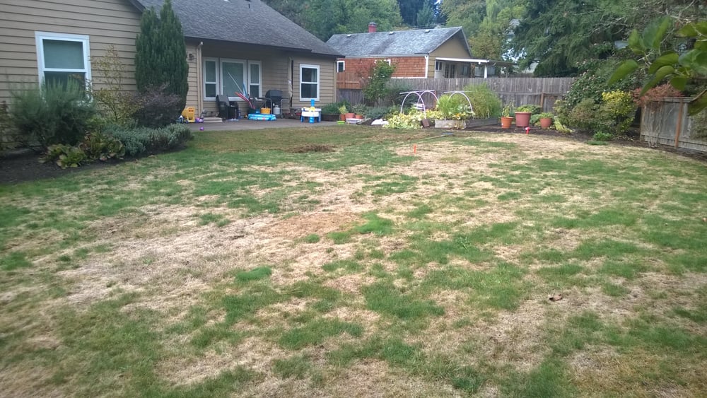 Photo of Clean Air Lawn Care of Portland