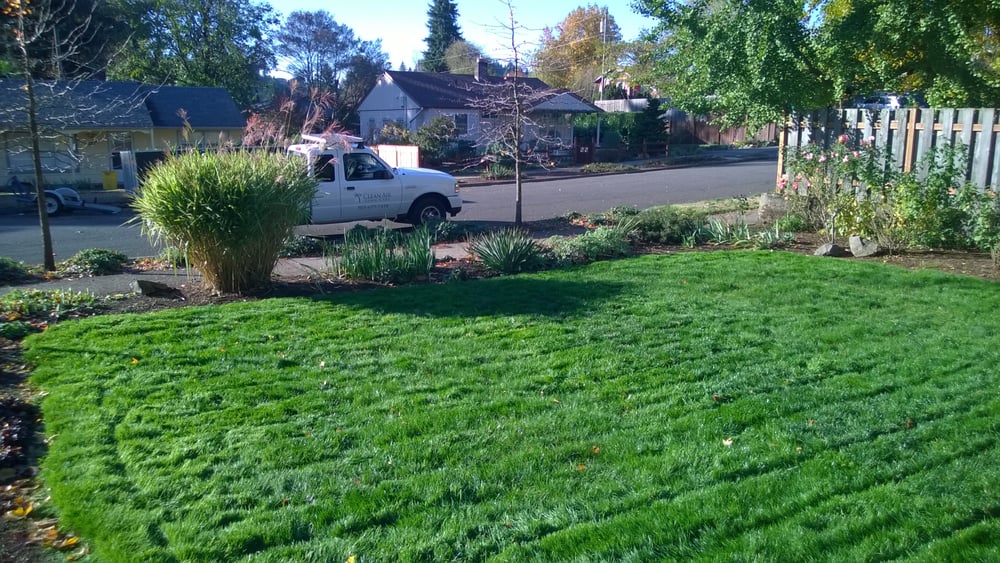 Photo of Clean Air Lawn Care of Portland
