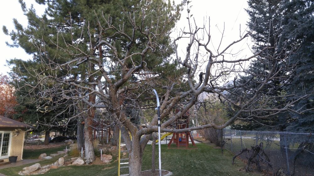 Photo of Landscape Visual Imaging