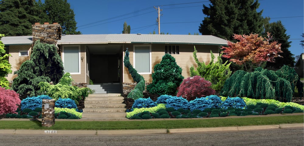 Photo of Landscape Visual Imaging