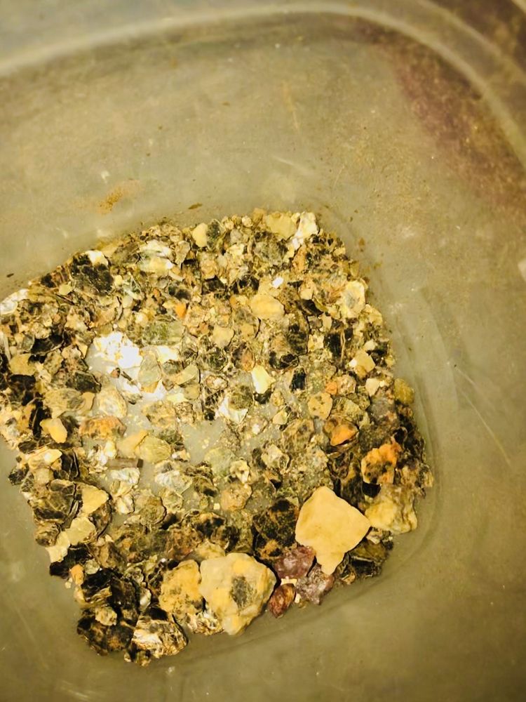 Photo of Pacific Precious Metals