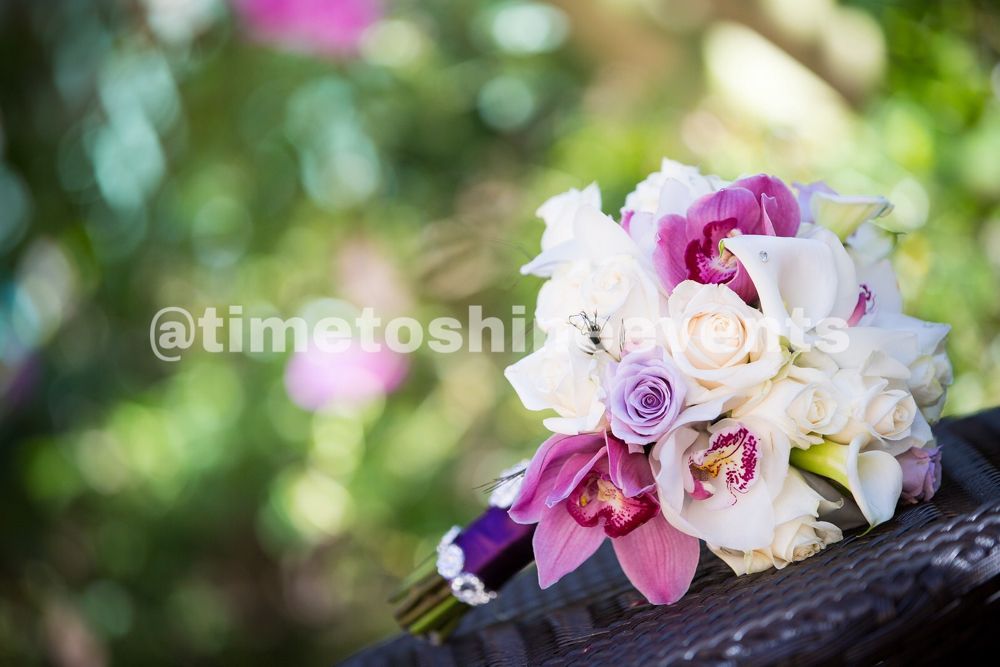 Photo of Time To Shine Events